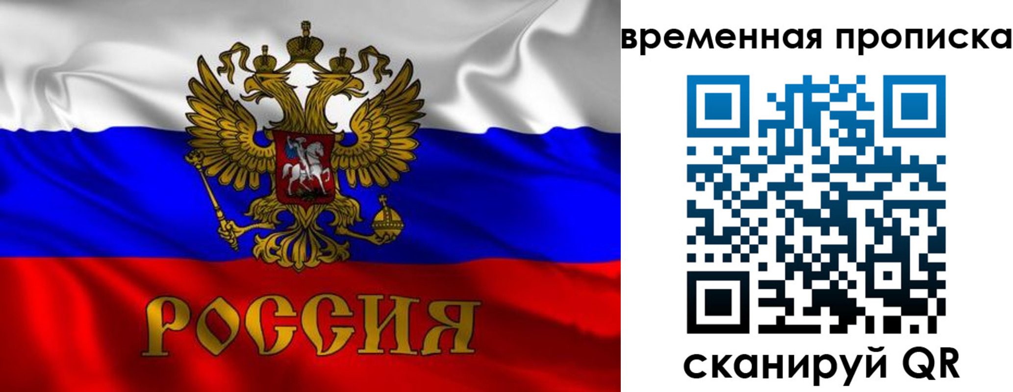 прописка законно в Новозыбкове