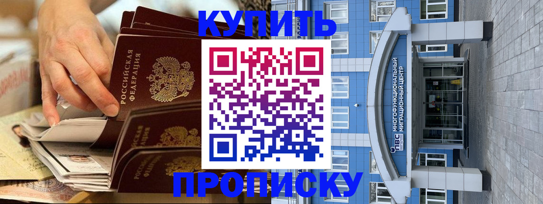 прописка гарантия в Новозыбкове